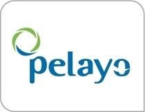 Pelayo